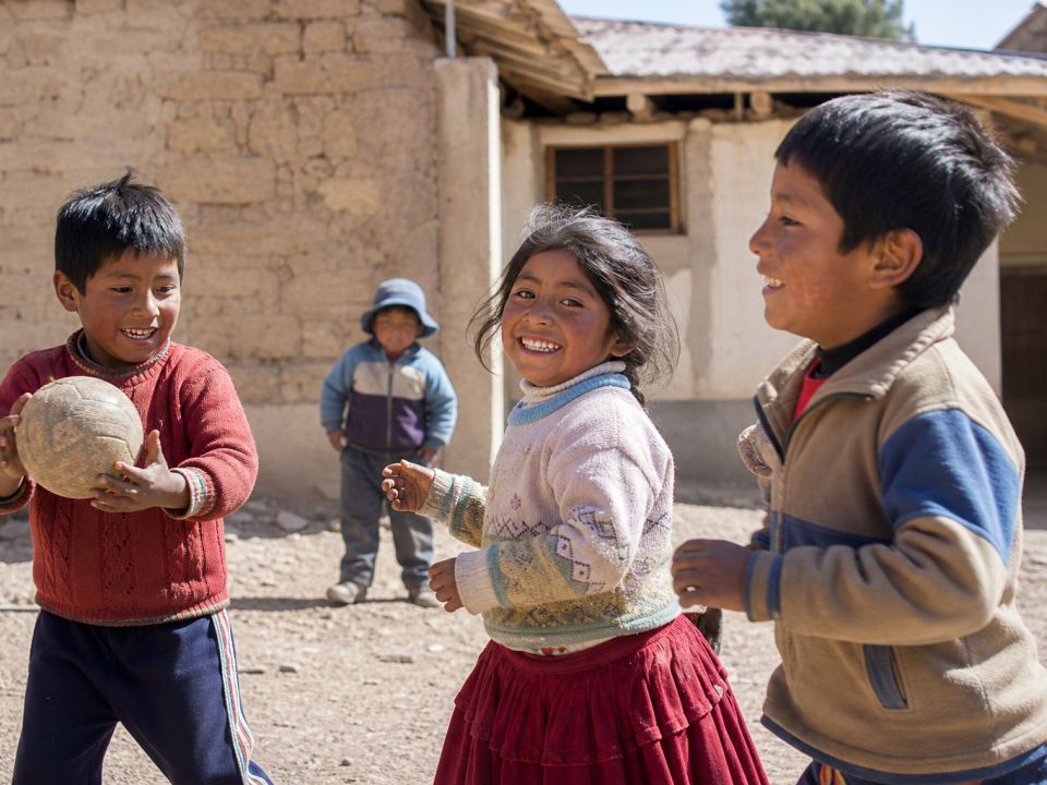 Desarrollo Integral Infantil